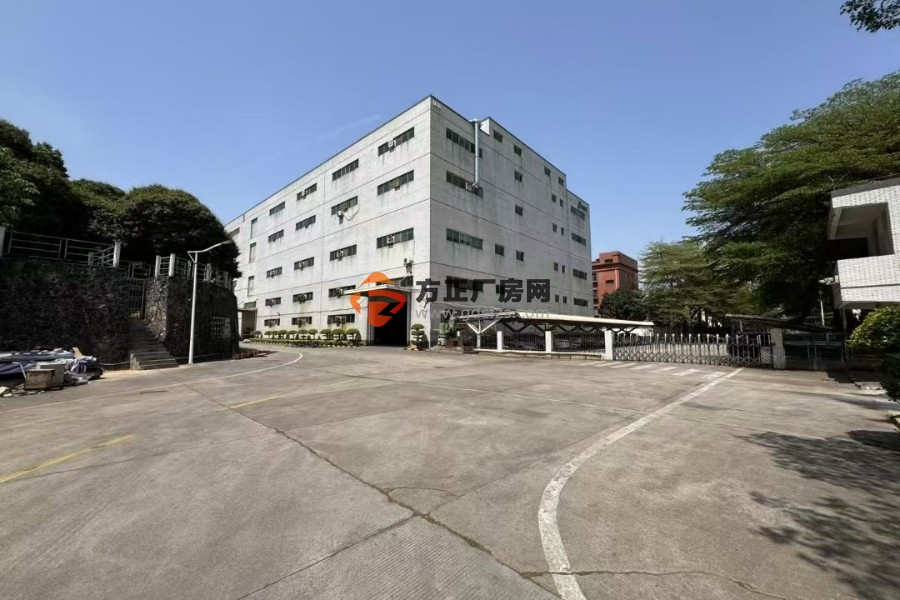 大朗高速路口新出独院厂房 厂房1-4层面积21380平 宿舍按需分配
